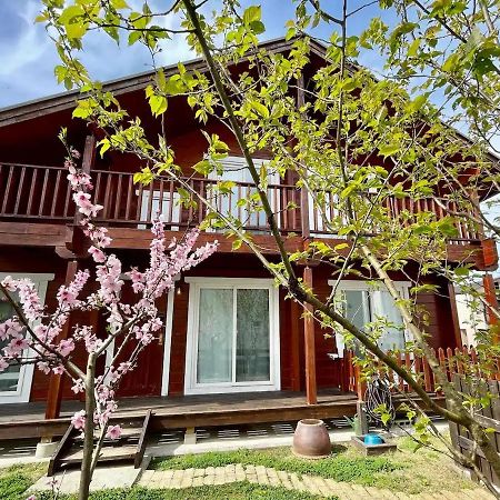 Log House #Ab1 Leilighet Seto Eksteriør bilde